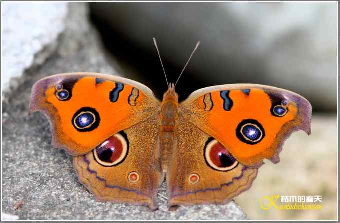 阳光明媚好心情【照片】 阳光明媚好心情【照片】