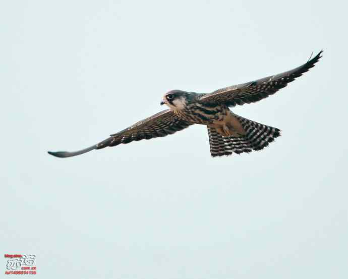 官厅水库&nbsp;wbr路&nbsp;wbr金秋十一猛