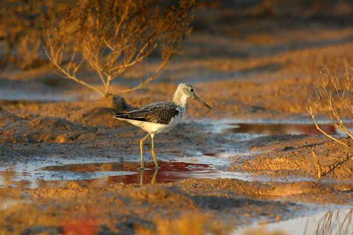 杭州老郑摄影续 杭州老郑摄影续