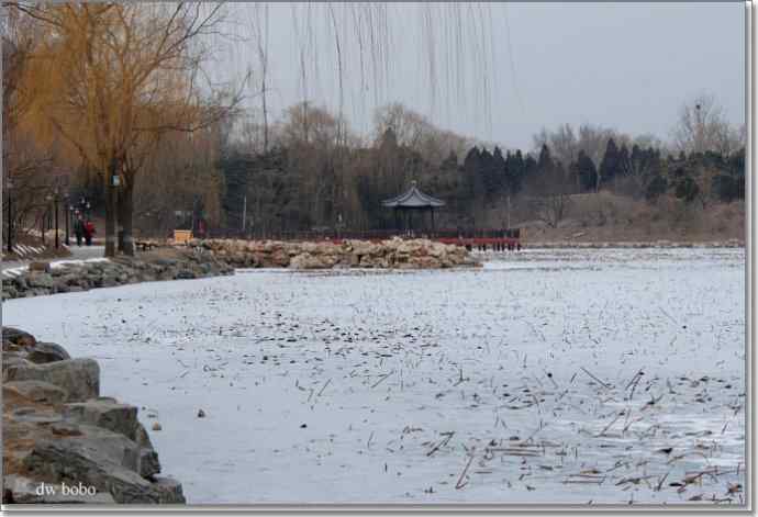 参加自然之友观鸟活动