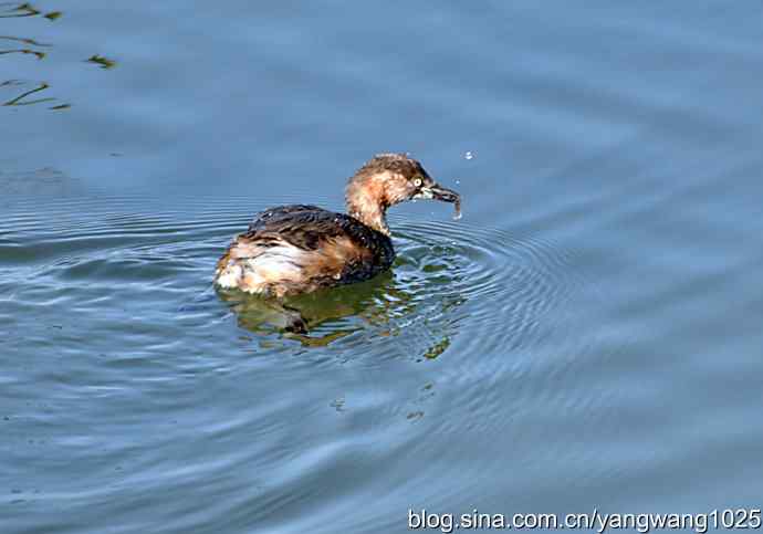 颐和园的收获（小PT）