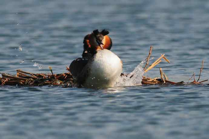 清明假日惬意的午后时光