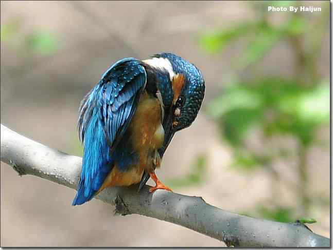  点击图片或使用键盘← →翻页