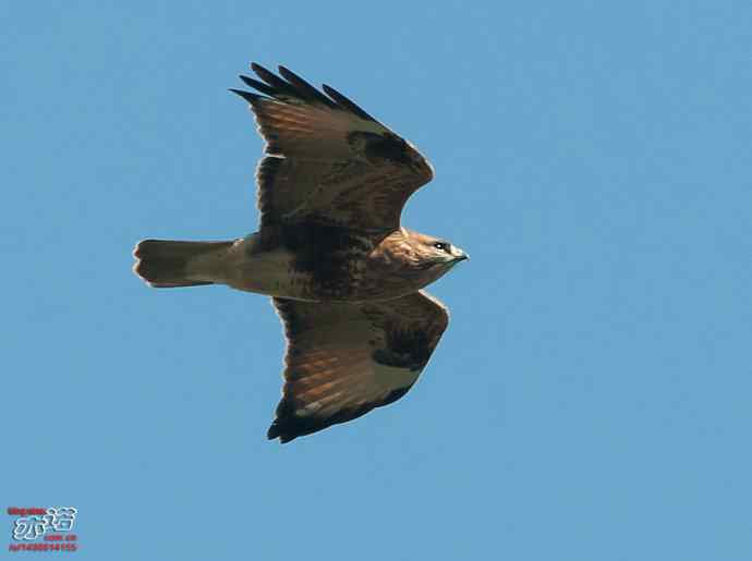 北京西山&nbsp;wbr路&nbsp;wbr金秋观猛