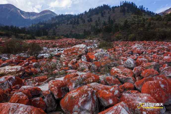 神奇的鈥満焓测