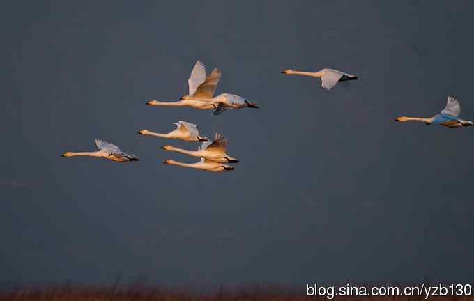 今日野鸭湖鈥斺敶筇於欤ㄗ橥迹20张图片）