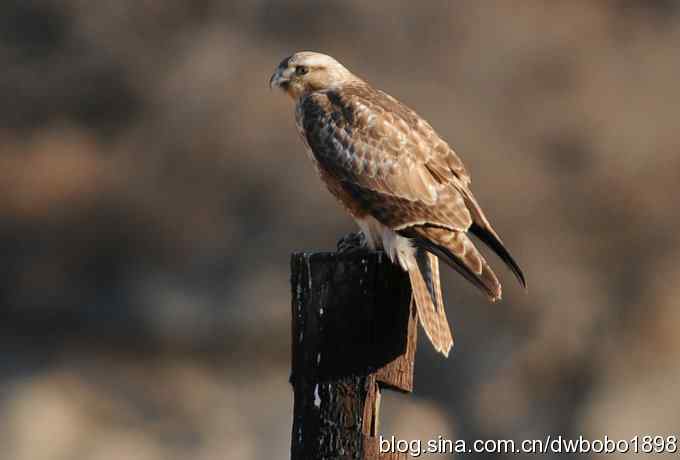 岁末再访白河峡谷
