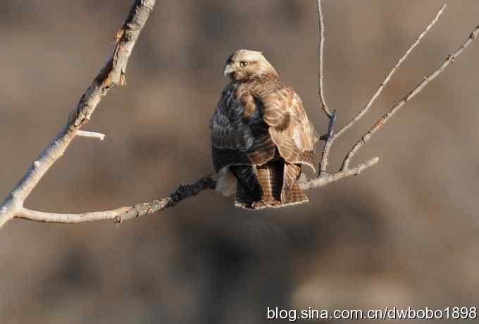 岁末再访白河峡谷