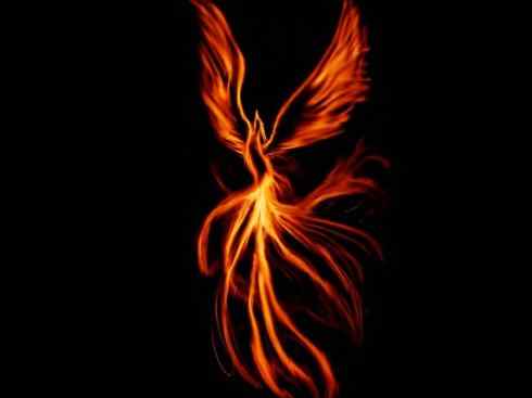 凤凰:传说的鸟 凤凰:传说的鸟