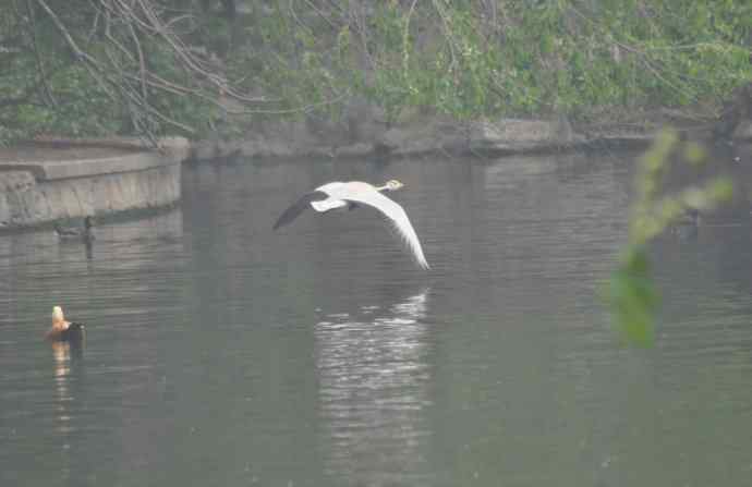 20100505当日总结 20100505当日总结