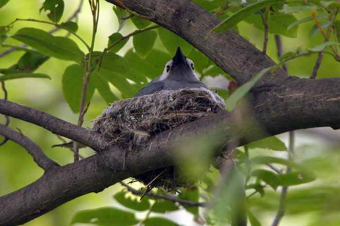 杭州老郑摄影续 杭州老郑摄影续