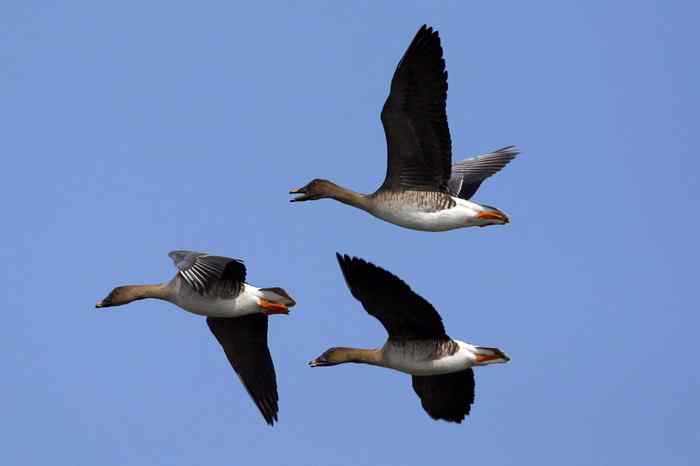 杭州老郑摄影续 杭州老郑摄影续