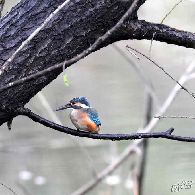 圆明园&nbsp;wbr路&nbsp;wbr雨天的小翠