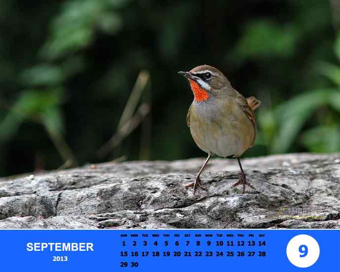 乘风追梦鈥斺斘业2012（附图）