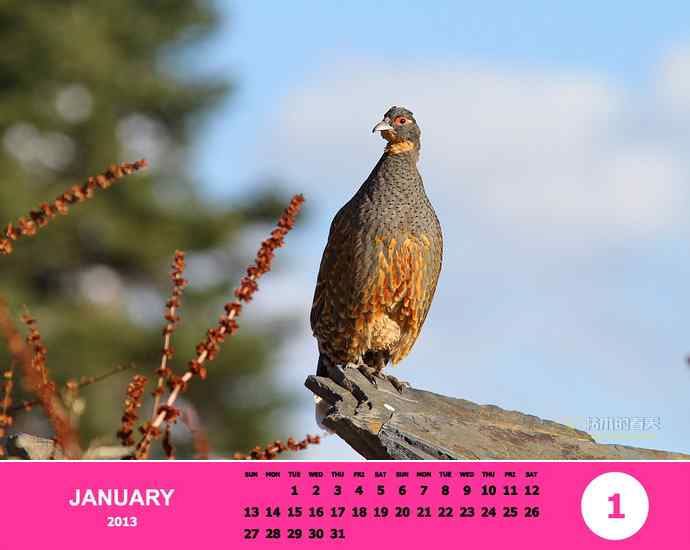 乘风追梦——我的2012（附图）