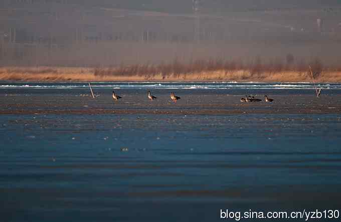 今日野鸭湖鈥斺敶筇於欤ㄗ橥迹20张图片）