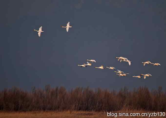 今日野鸭湖鈥斺敶筇於欤ㄗ橥迹20张图片）