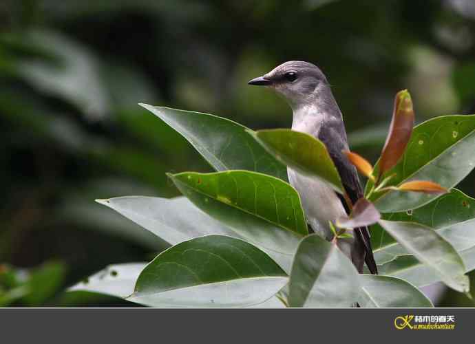 拍鈥溁疑浇纺疋澕侨ぁ菊掌