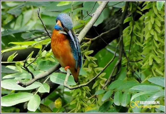 鈥溞〈溻澒槔础菊掌