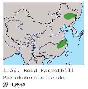 我的处女震旦（组图，8张图片）