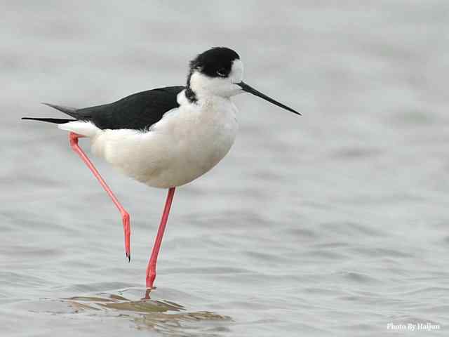 我憧憬那湾碧水 wbr. wbr我流连那片土地