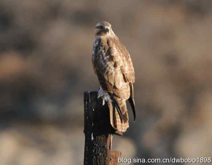 岁末再访白河峡谷