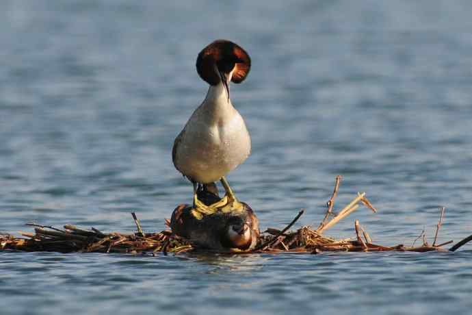 清明假日惬意的午后时光
