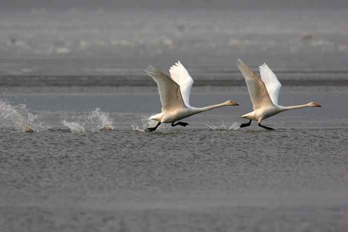 杭州老郑摄影续 杭州老郑摄影续