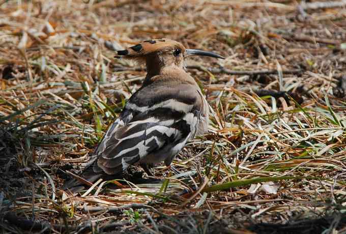让偶一次拍个够
