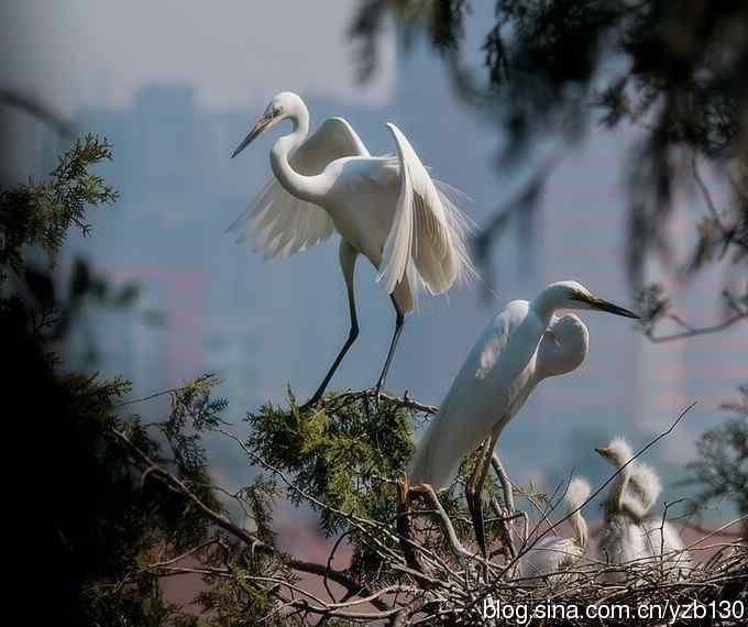 父母是天（组图，6张图片）