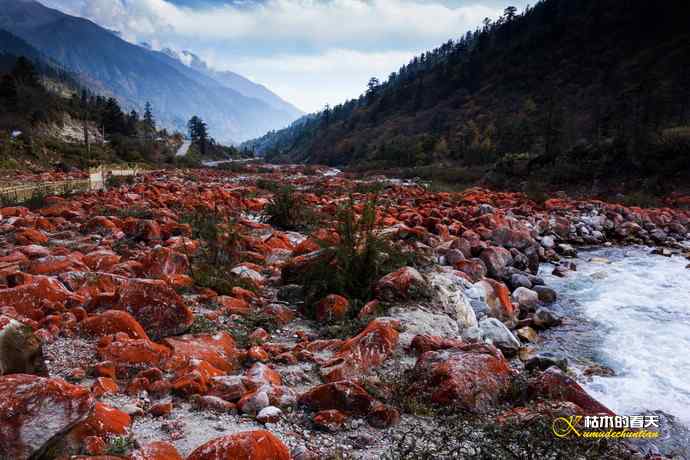 神奇的鈥満焓测