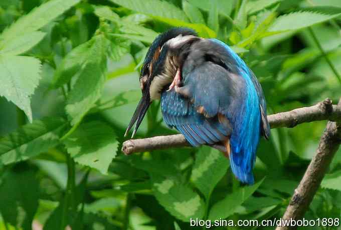小小翠儿沐浴着父爱快乐成长--献给父亲节