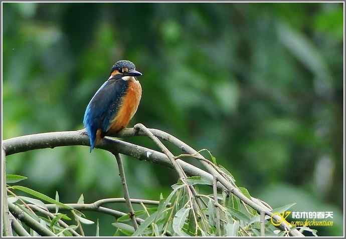 鈥溞〈溻澒槔础菊掌