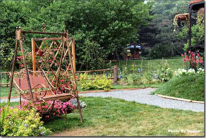  点击图片或使用键盘← →翻页