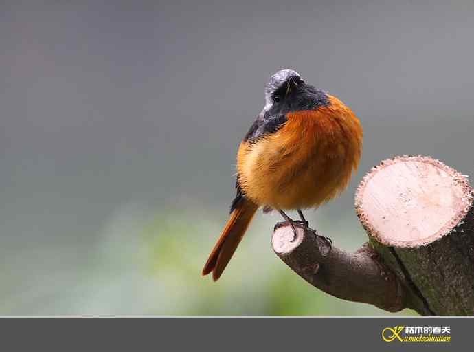 近拍鈥湵焙煳拆垛潯臼蹬摹