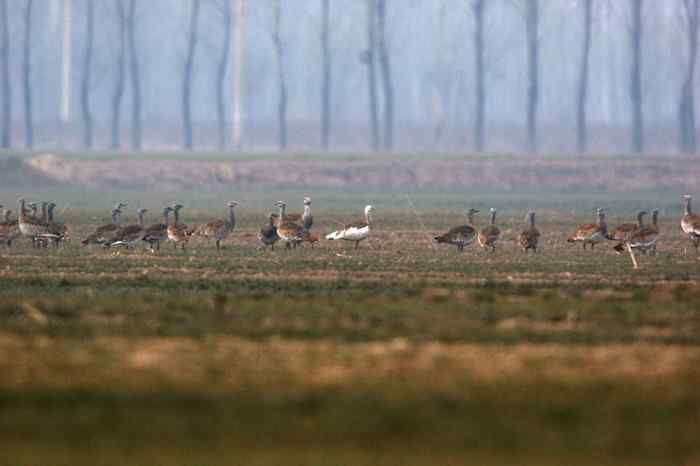 杭州老郑摄影续 杭州老郑摄影续