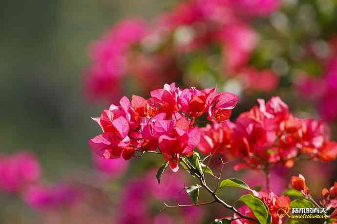 我的鈥溙翕濃斺斚妹排拟湶嫖蔡裟疋