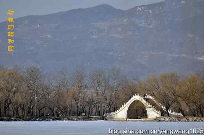 北京颐和园的鸟类——习作(喜鹊)