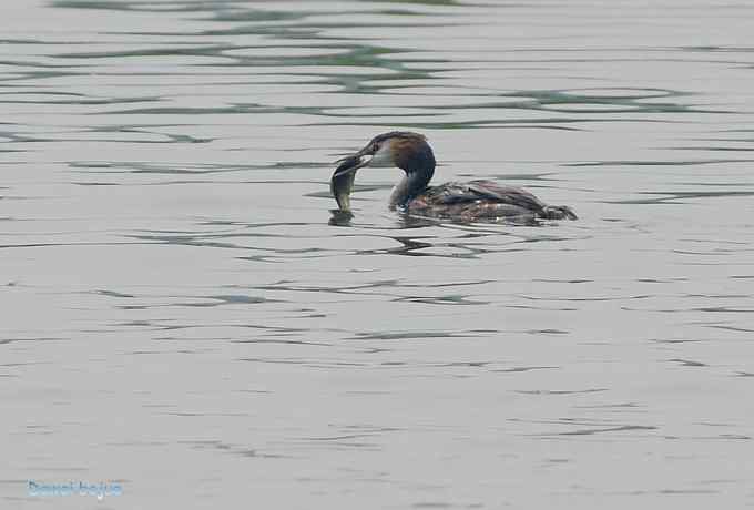 颐和园的凤头 颐和园的凤头