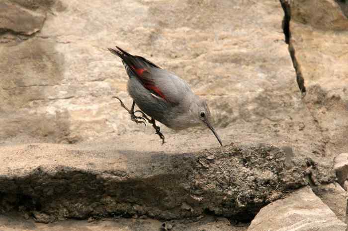 杭州老郑摄影续 杭州老郑摄影续
