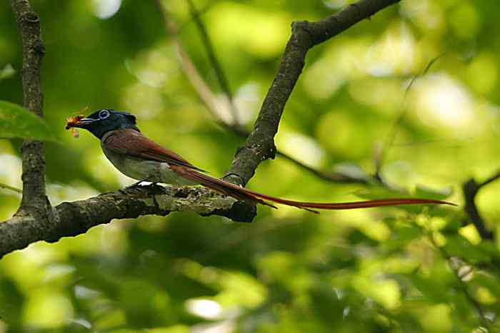 杭州老郑摄影续 杭州老郑摄影续