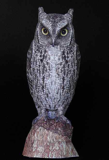 荷兰艺术家叹为止观的3D折纸小鸟 荷兰艺术家叹为止观的3D折纸小鸟