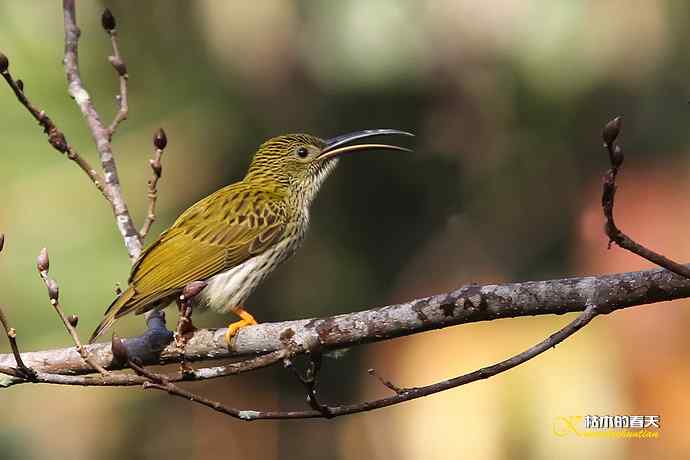 记录鈥溛票巢吨肽疋