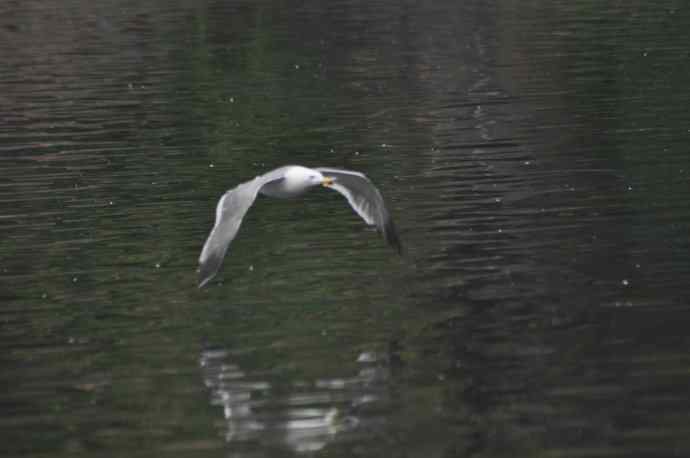 20100505当日总结 20100505当日总结