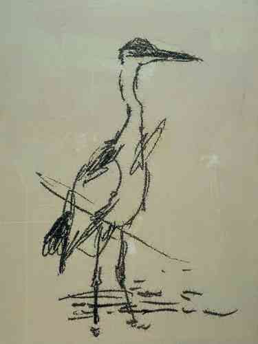 画家叶永青画的鸟，视觉冲击！