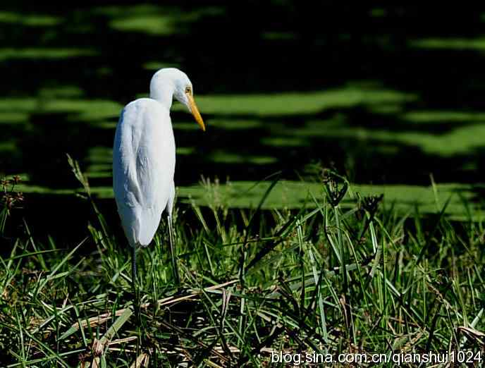 清仓晒鸟儿 清仓晒鸟儿