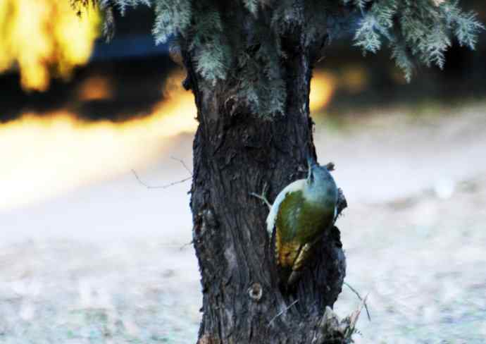 随走随拍（杂片）