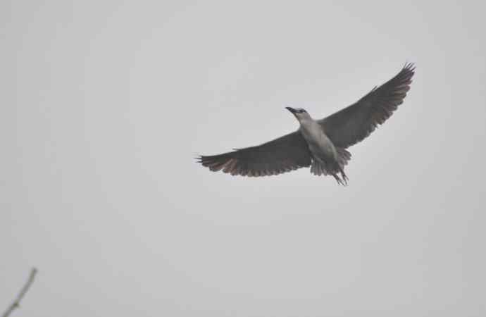 20100505当日总结 20100505当日总结