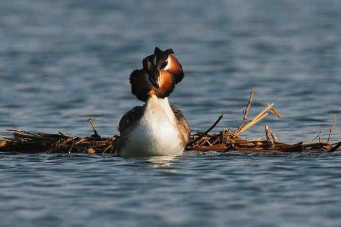 清明假日惬意的午后时光