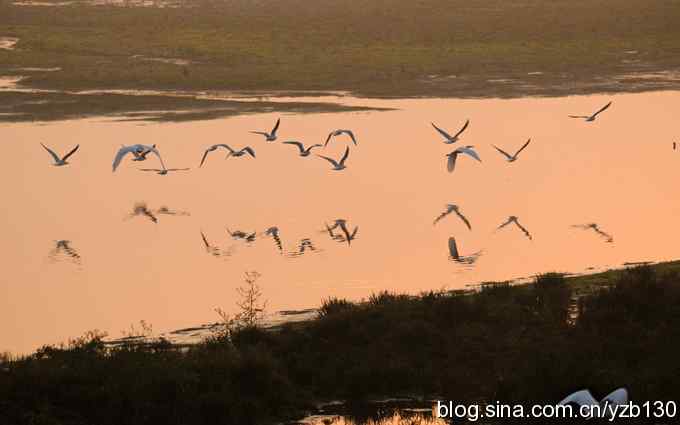 湿地的早晨（组图）